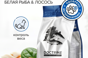 Инфографика корм для кошек