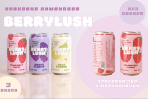 Упаковка натуральных лимонадов "BerryLush"