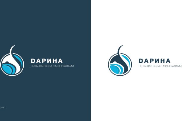 Разработка брендбука для компании по продаже минеральной воды "Дарина"