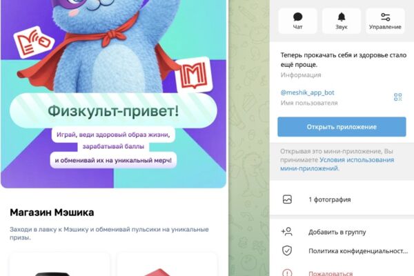 MiniApp МЭШ
