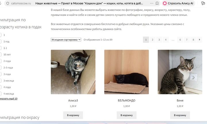 Многостраничный сайт-визитка