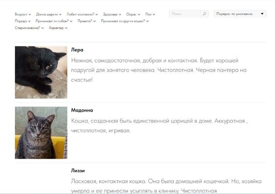 Перенос с Woocommerce на Тильда сайта Кошачего приюта Кошкин дом