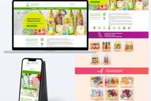 Верстка и посадка сайта absolute-nature на Wordpress